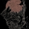 Xris02