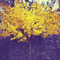 Giorgos_Antonopoulos28