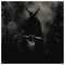 Narcissus_Larisson