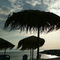 George_Triantafyllopoulos43