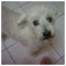 Dim_Kall