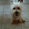 tasos_papadimitriou44