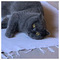 Sofia_Garyfallou