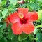 Dionisis_Makris