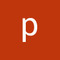 pin_ts