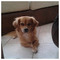 Ralu_K