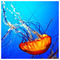 Maria_Biliou