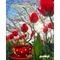 george_athonsk