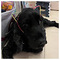 eirini_kostopoulou80