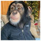 vasilis_agelis6