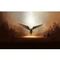 THemis_Kanakis