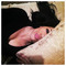 Angela_Winchester