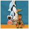 SMART_COLLECTION_liopoulou