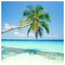 IOANNA_MEIMAROGLOU
