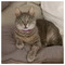Dimitra_Romiou