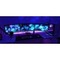 Andreas_VI
