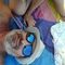 nick_roquer