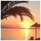 JIMMY_Deligiannis