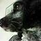 andreas_mpoumpou