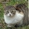 tasou16
