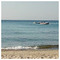 alexmousiou72