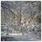 Kostas_2810