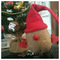 Martha_Palli