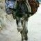 manolis5076
