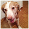 Alexandros_Tzallas17