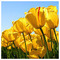 konstantina_theodoropoulou20