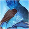 Chris_Ps