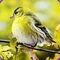 Antigoni_G