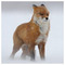 winefox1500
