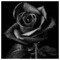 Odysseas_Geo