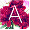 annie_stru
