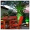 Sotiris_Genidis