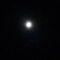 George_Rousakis49