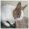 orestis_priftis9734