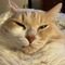 Angela_Kar