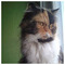 ATHINA_FOTOPOULOU