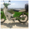 menis_64