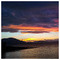 Giannis_M8036