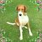 s_lioliou