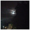 Catherine_Bounou