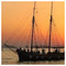 bill_kam4123