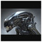 Super_Plaier