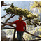 Giannis_Koliadimas6256