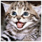 grk_24x7