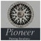 pioneerofpaintings