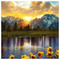 ZOI_LIAKOU7285